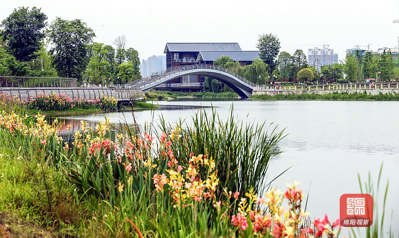 小枧生態濕地公園.jpg