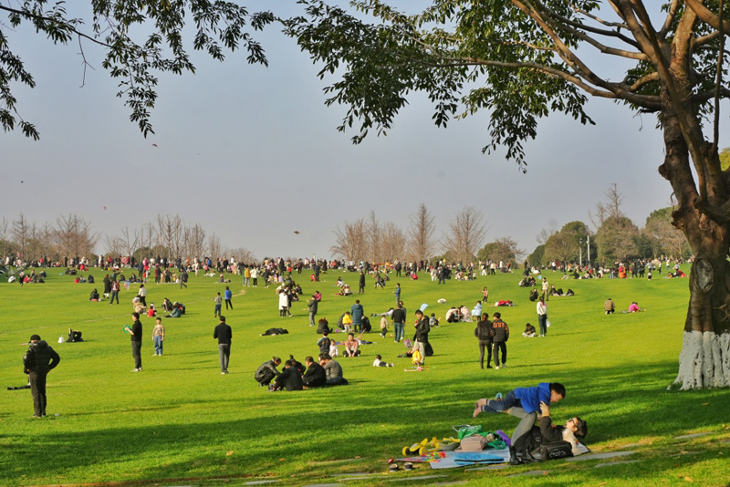 重慶中央公園，市民在草坪上曬太陽(yáng)、放風(fēng)箏。重慶日?qǐng)?bào).jpg