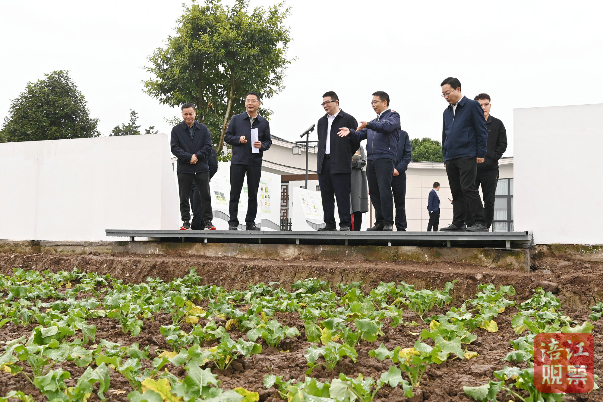 2024年11月10日，李云赴安州調(diào)研學(xué)習(xí)運用“千萬工程”經(jīng)驗4  張莉 攝.jpg